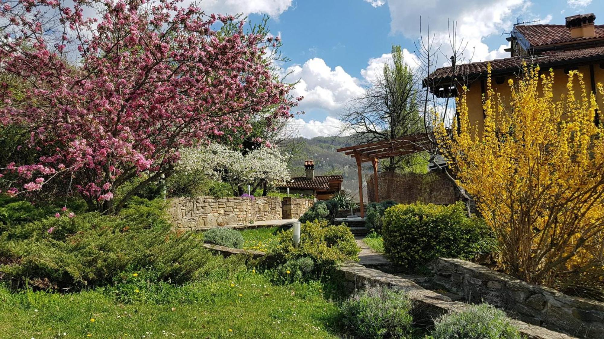 Agriturismo Fattoria Ca Di Sole San Benedetto Val di Sambro Zewnętrze zdjęcie